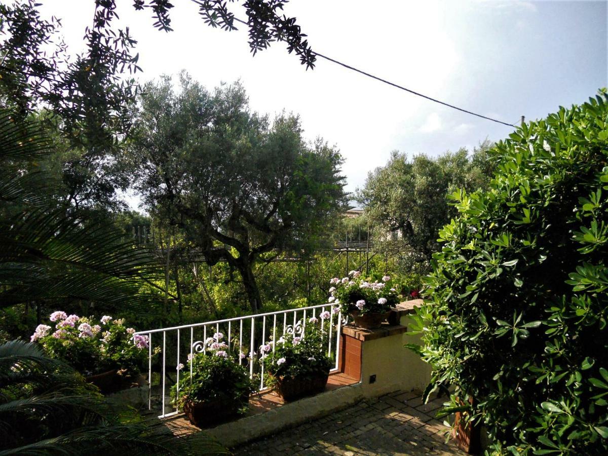 Villa Le Olivine Sorrento Exterior photo